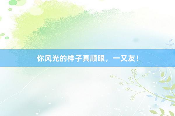 你风光的样子真顺眼，一又友！