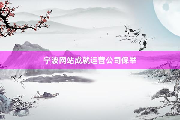 宁波网站成就运营公司保举