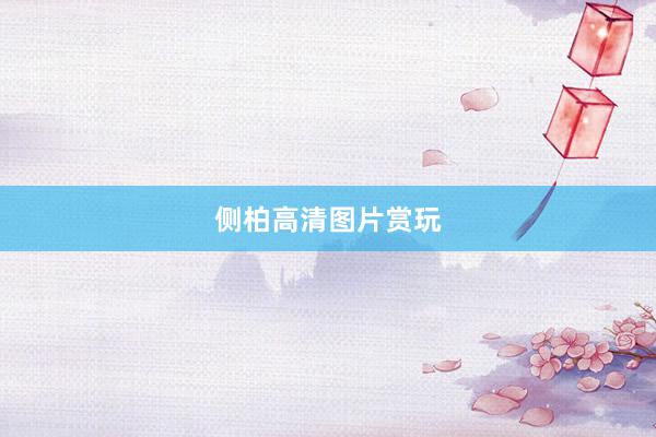 侧柏高清图片赏玩